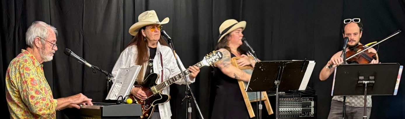 Pony Show band members play live